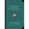 Pony Trails In Wyoming: Hoofprints Of A Cowboy And U.S. Ranger