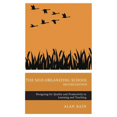 The Self-Organizing School: Designing for Quality and Productivity in Learning and Teaching