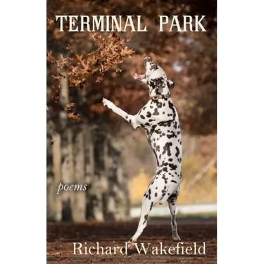 Terminal Park: Poems