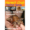 Hermit Crab Habitat Setup: Hermit Crab care and Habitat Set-up