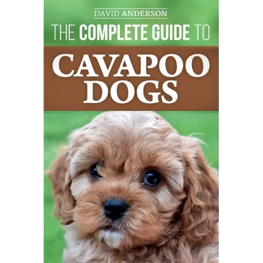 The Complete Guide to Cavapoo Dogs: Everything you need to know to successfully raise and train your new Cavapoo puppy