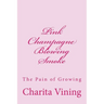 Pink Champagne Pt 1.: Smoke, Mirrors, and Life