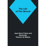 The Life of the Weevil