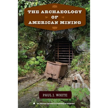 The Archaeology of American Mining