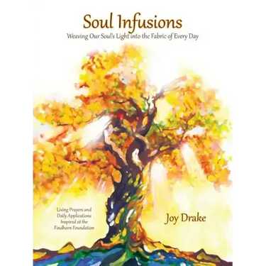 Soul Infusions: Weaving Our Soul's Light Into The Fabric Of Every Day