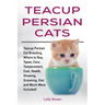 Teacup Persian Cats: Teacup Persian Cat Breeding, Where to Buy, Types, Care, Temperament, Cost, Health, Showing, Grooming, Diet and Much More Included