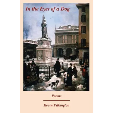 In the Eyes of a Dog