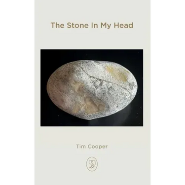 The Stone In My Head
