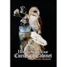 How to Start Your Curiosity Cabinet