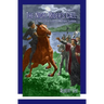 The Night Rider's Call: A Tale of the Times of William Tyndale