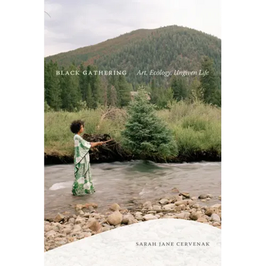 Black Gathering: Art, Ecology, Ungiven Life