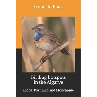 Birding hotspots in the Algarve: Lagoa, Portimão and Monchique