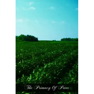 The Primacy Of Peter: From The Protestant And From The Catholic Point Of View