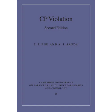 CP Violation