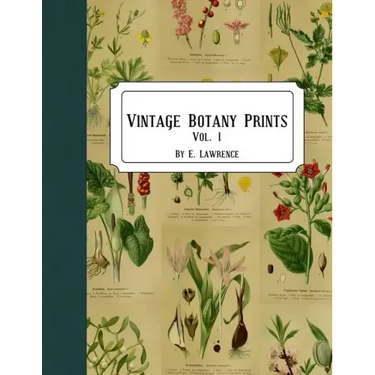 Vintage Botany Prints: Vol. 1