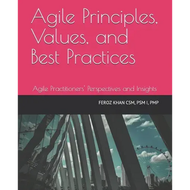 Agile Principles, Values, and Best Practices: Agile Practitioners' Perspectives and Insights