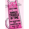 Bubbles Travels In Time
