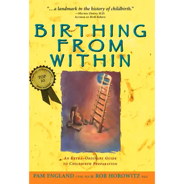 Birthing from Within: An Extra-Ordinary Guide to Childbirth Preparation