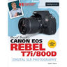 David Busch's Canon EOS Rebel T7i/800d Guide to Digital Slr Photography