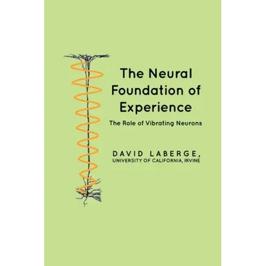The Neural Foundation of Experience: The Role of Vibrating Neurons