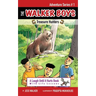 Treasure Hunters: The Walker Boys Adventure Series