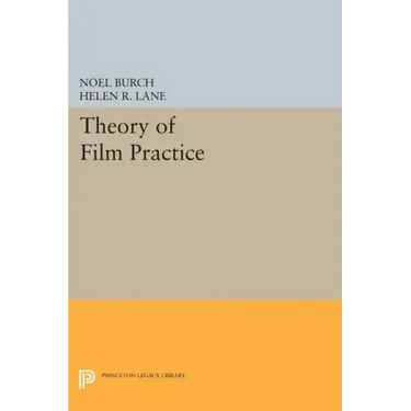 Theory of Film Practice
