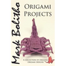 Origami Projects: A collection of original origami designs