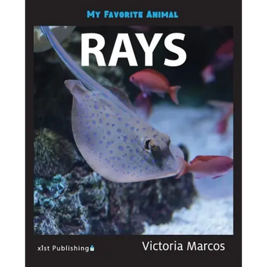My Favorite Animal: Rays