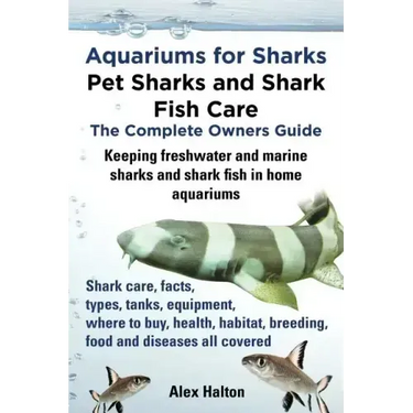 Aquariums for Sharks. Keeping Aquarium Sharks and Shark Fish. Shark Care, Tanks, Species, Health, Food, Equipment, Breeding, Freshwater and Marine All