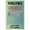 Workforce America!: Managing Employee Diversity as a Vital Resource