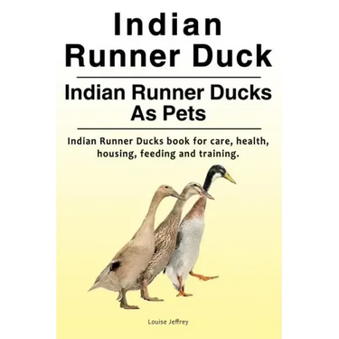 Indian Runner Duck. Indian Runner Ducks As Pets. Indian Runner Ducks book for care, health, housing, feeding and training.