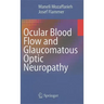 Ocular Blood Flow and Glaucomatous Optic Neuropathy