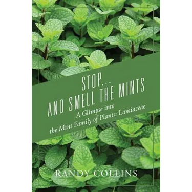 Stop...and Smell the Mints: A Glimpse into the Mint Family of Plants: Lamiaceae