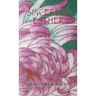 Sincerely, Esther: Study Notes on Women in the Bible Series