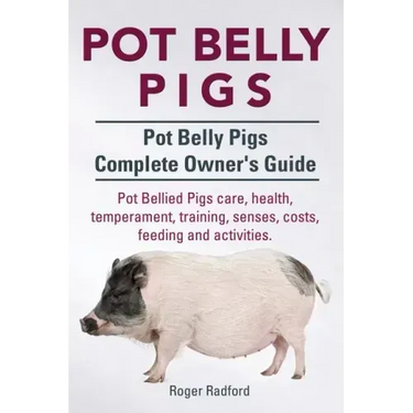 Pot Belly Pigs. Pot Belly Pigs Complete Owners Guide. Pot Bellied Pigs care, health, temperament, training, senses, costs, feeding and activities.