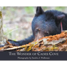 The Wonder of Cades Cove