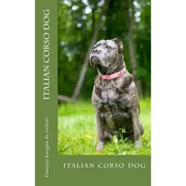 italian corso dog: italian corso dog