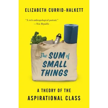 The Sum of Small Things: A Theory of the Aspirational Class