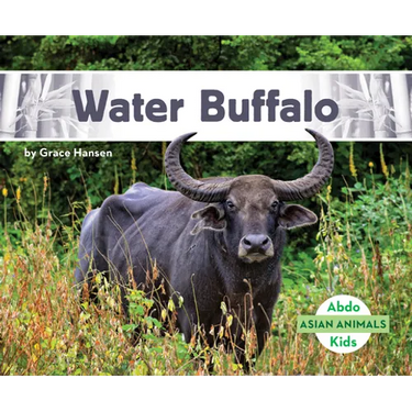 Water Buffalo