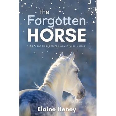 The Forgotten Horse - Book 1 in the Connemara Horse Adventure Series for Kids. The perfect gift for children age 8-12.
