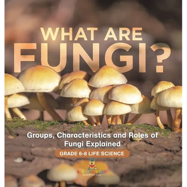 What are Fungi? Groups, Characteristics and Roles of Fungi Explained Grade 6-8 Life Science