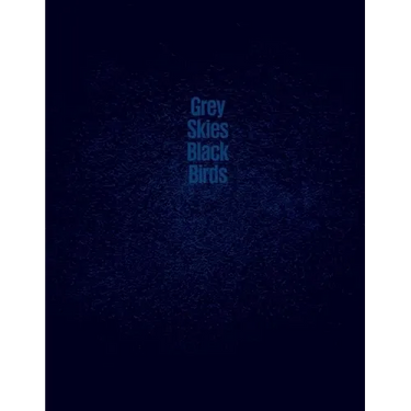 Grey Skies, Black Birds