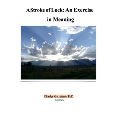 A Stroke of Luck: An Exercise in Meaning