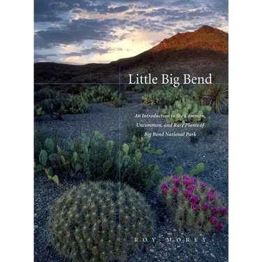 Little Big Bend: Common, Uncommon, and Rare Plants of Big Bend National Park