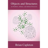 Objects and Structures: on Numbers, Infinity, and Infinite Processes