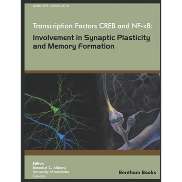 Transcription Factors CREB and NF-KB: Involvement in Synaptic Plasticity and Memory Formation