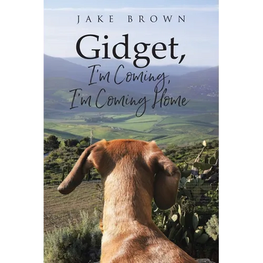 Gidget, I'm Coming, I'm Coming Home