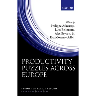 Productivity Puzzles Across Europe
