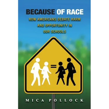 Because of Race: How Americans Debate Harm and Opportunity in Our Schools