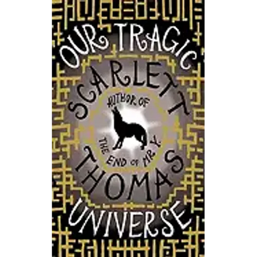 Our Tragic Universe